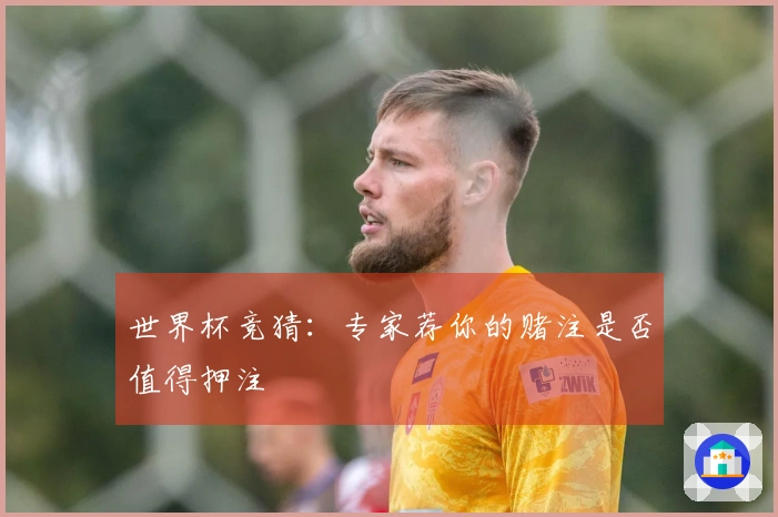 世界杯竞猜：专家荐你的赌注是否值得押注
