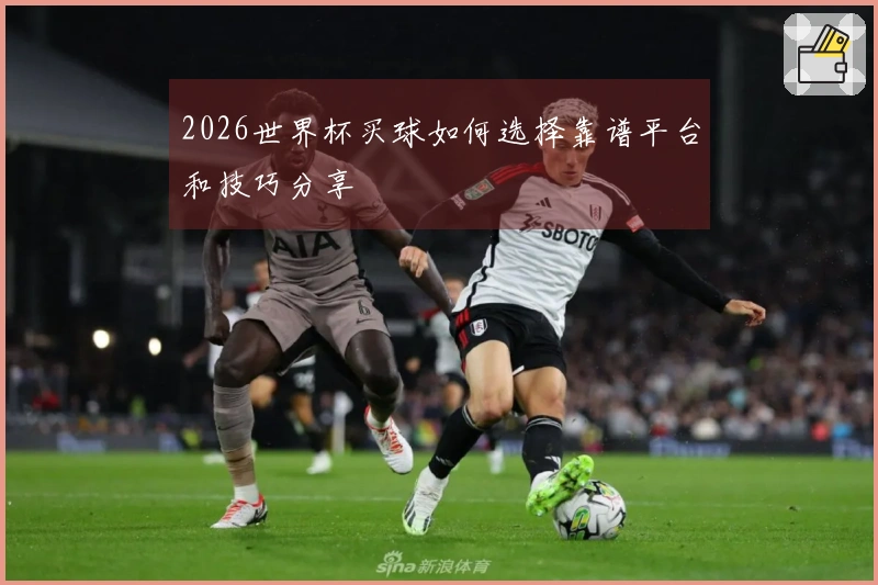 2026世界杯买球如何选择靠谱平台和技巧分享