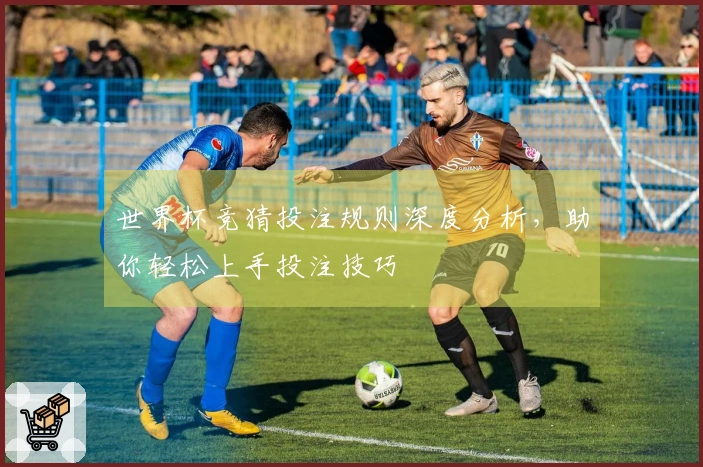 世界杯竞猜投注规则深度分析，助你轻松上手投注技巧