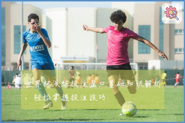 世界杯滚球投注盘口基础知识解析，轻松掌握投注技巧