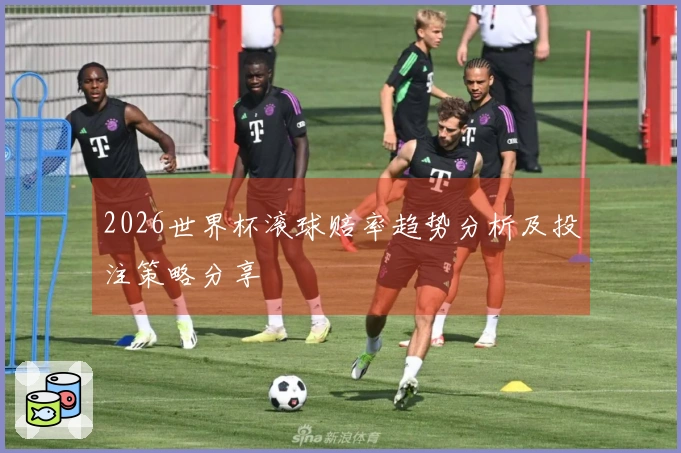 2026世界杯滚球赔率趋势分析及投注策略分享