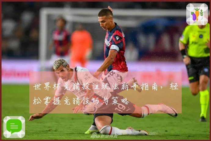 世界杯竞猜投注玩法新手指南，轻松掌握竞猜技巧与策略