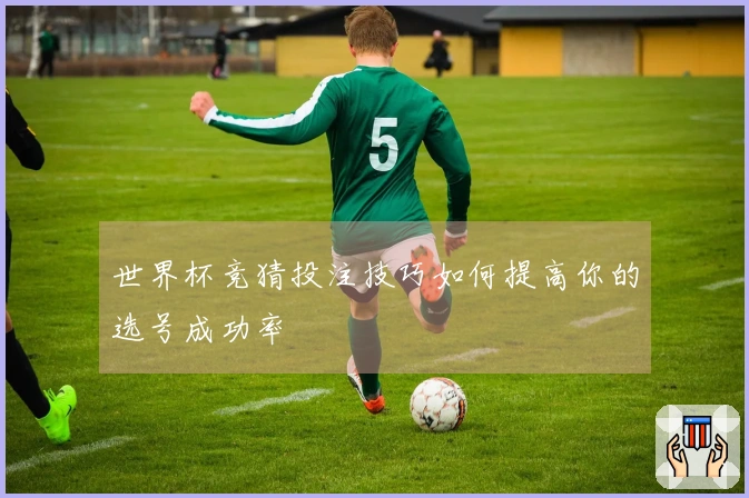 世界杯竞猜投注技巧如何提高你的选号成功率