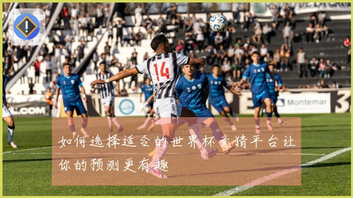 如何选择适合的世界杯竞猜平台让你的预测更有趣