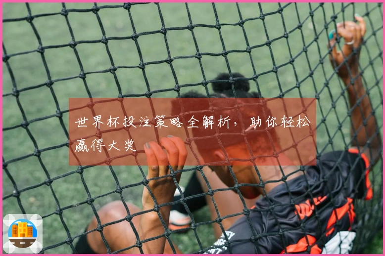 世界杯投注策略全解析，助你轻松赢得大奖