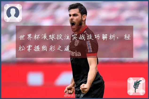 世界杯滚球投注实战技巧解析，轻松掌握购彩之道